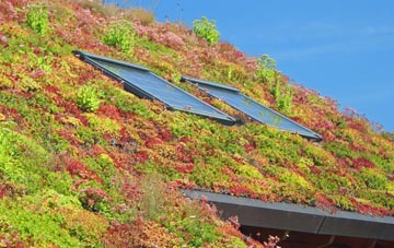 Monks Gate living roof systems