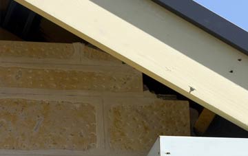 soffit repair Monks Gate